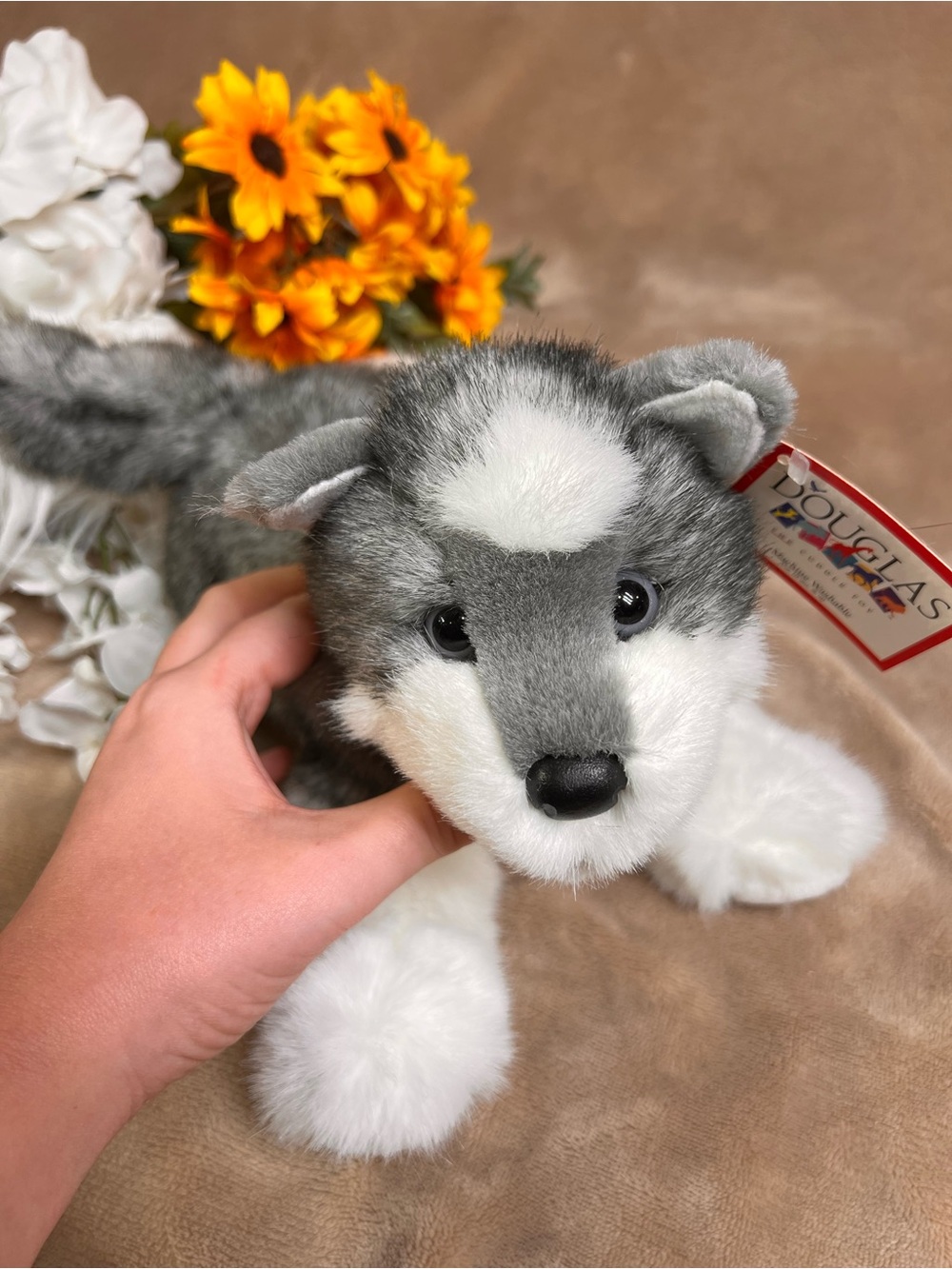 DOUGLAS 'Sasha Siberian Husky' Grey and White Wolf Dog Stuffed Animal